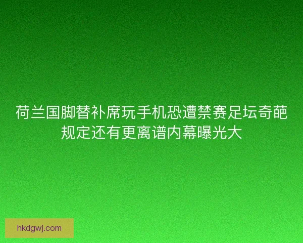 荷兰国脚替补席玩手机恐遭禁赛足坛奇葩规定还有更离谱内幕曝光大